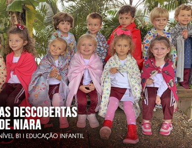 As descobertas de Niara