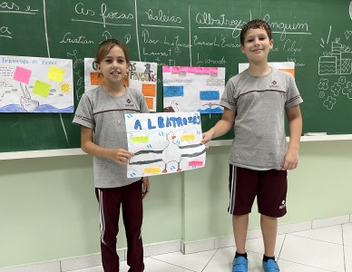 Avaliação processual do livro Férias na Antártica