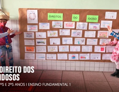 Direito dos Idosos