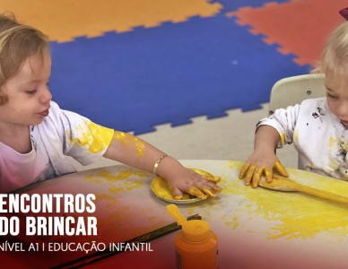 Encontros do brincar