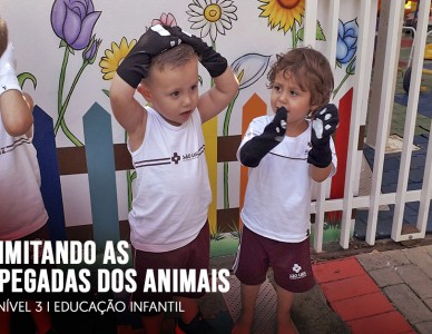 Imitando as pegadas dos animais