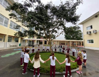 Plantando e aprendendo